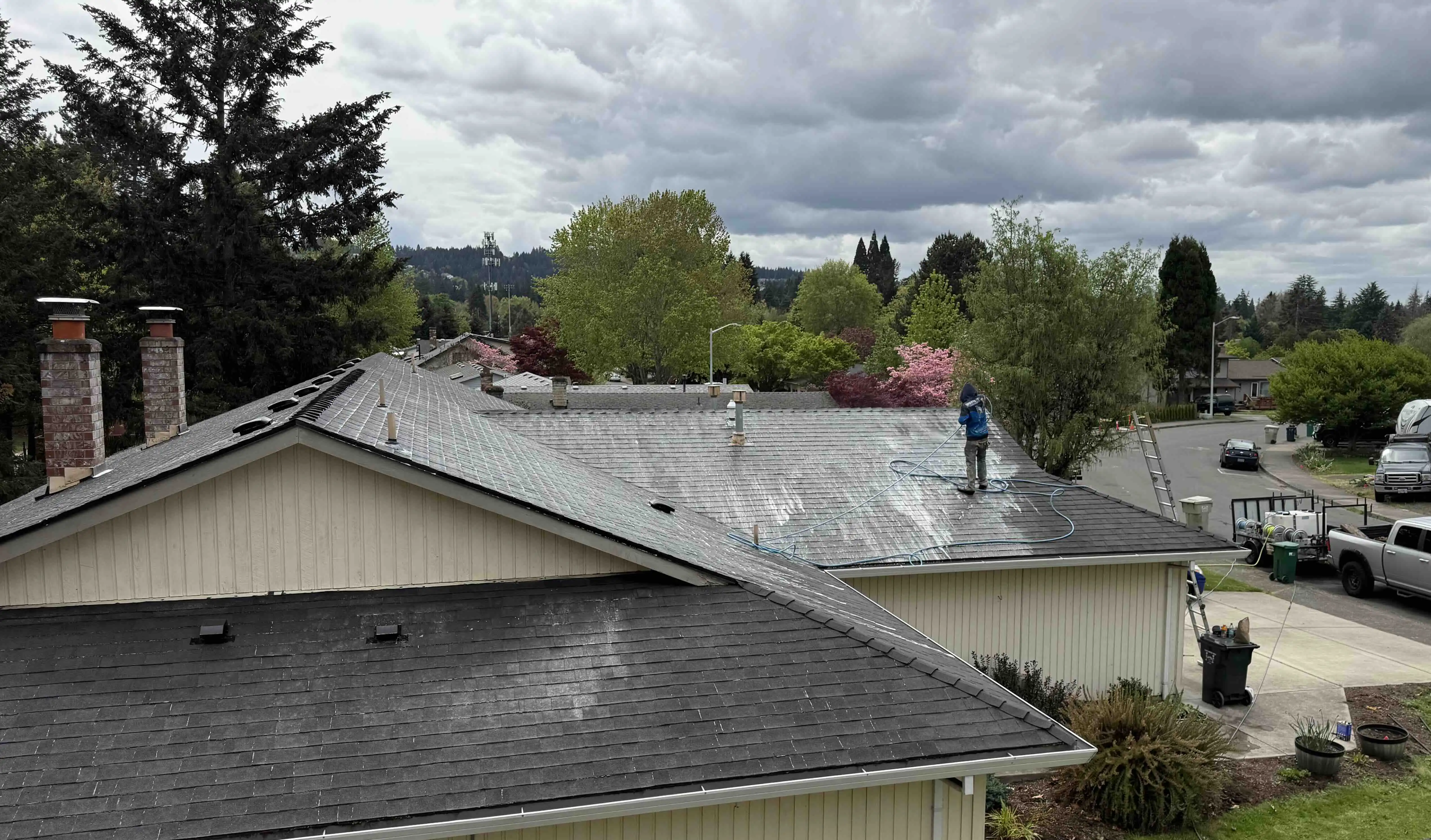Roof Cleaning Image